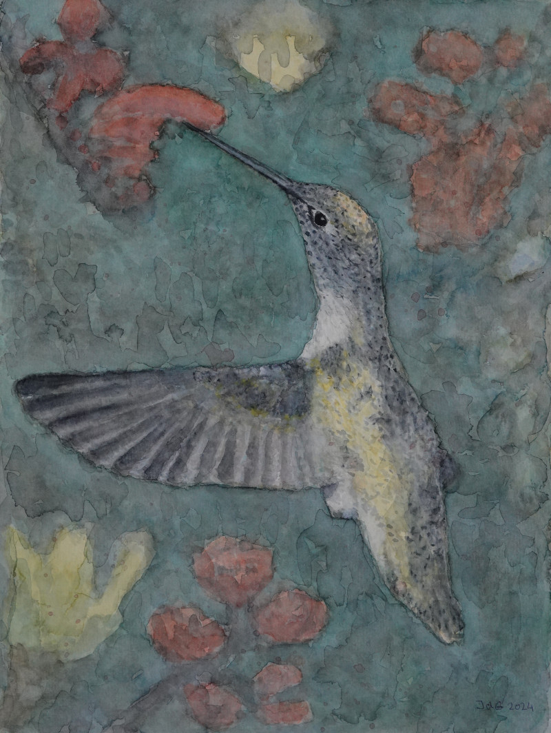 Kolibri
