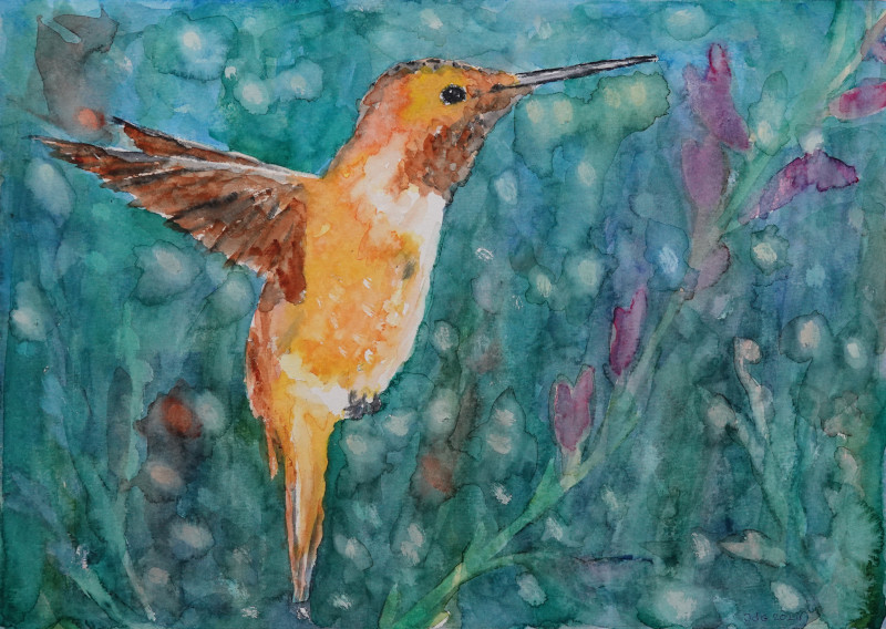 Kolibri
