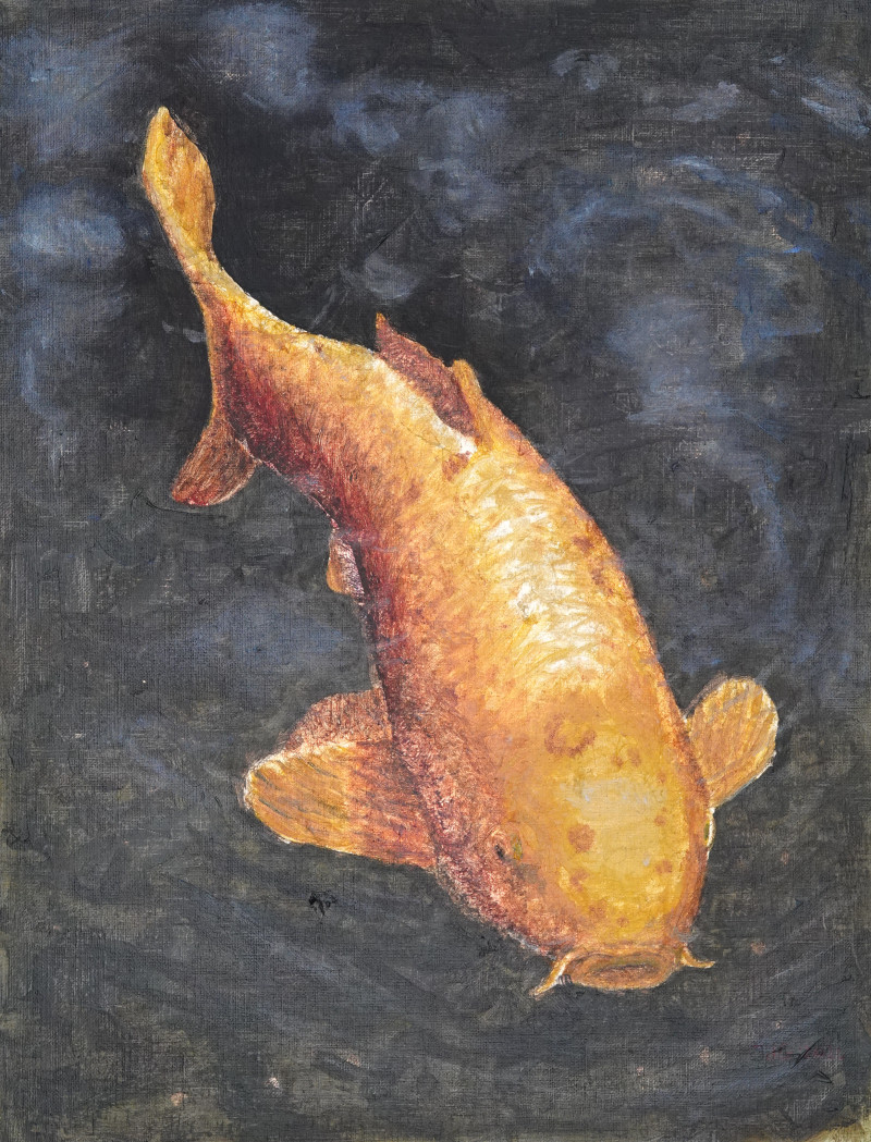 Golden koi